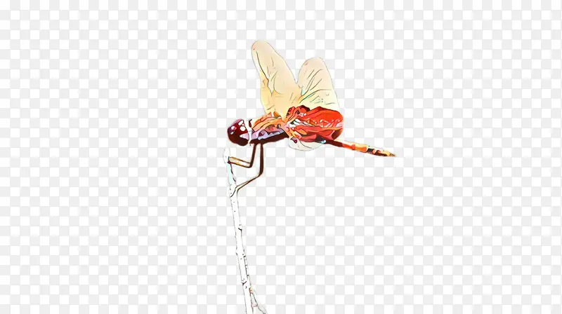 昆虫 害虫 蜻蜓和凤眼莲