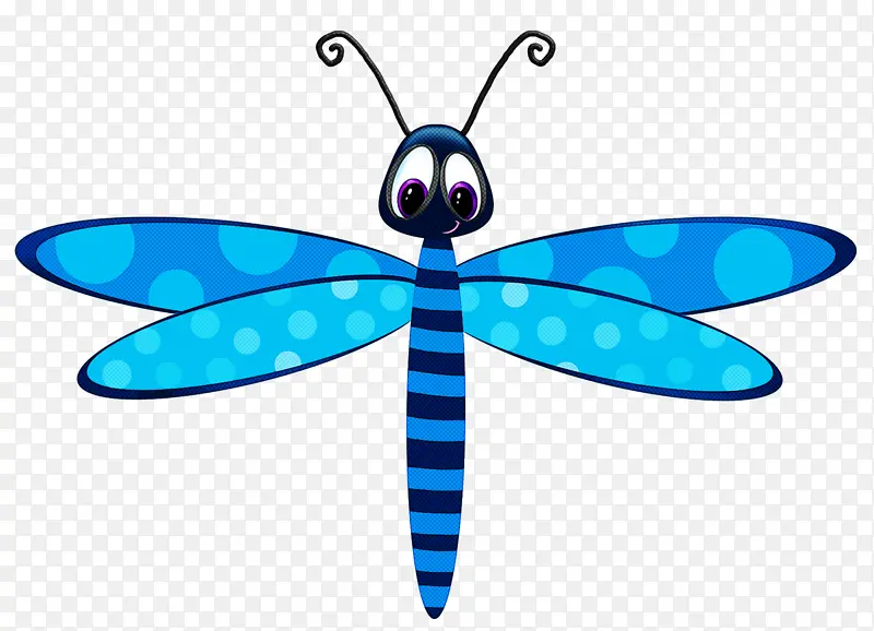 蜻蜓和豆娘 昆虫 蓝色