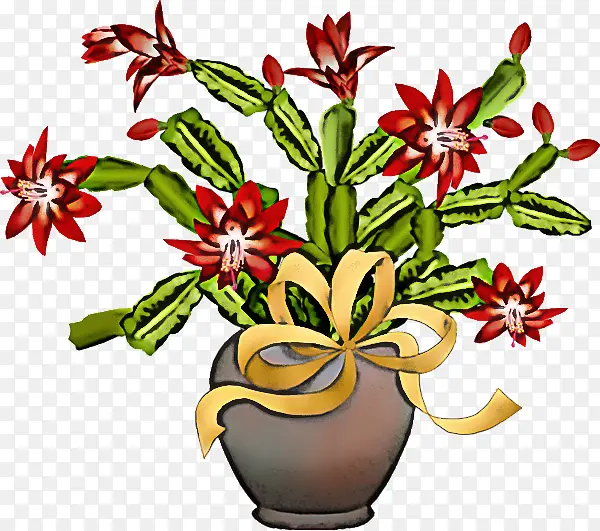 花卉 花盆 植物