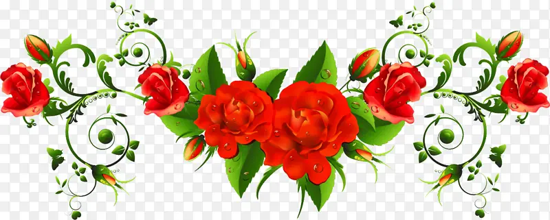 花卉 红色 植物