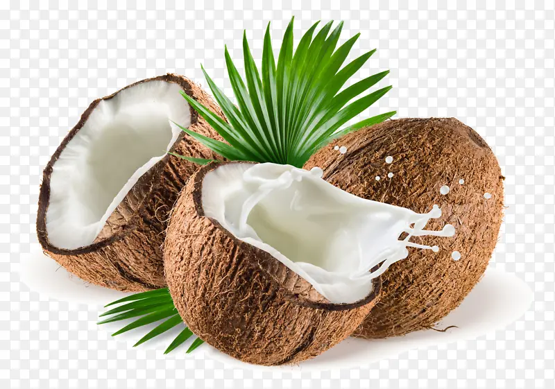 椰子 椰子水 棕榈树