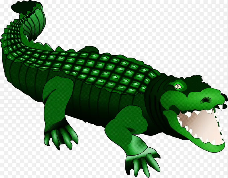 爬行动物 鳄鱼 绿色
