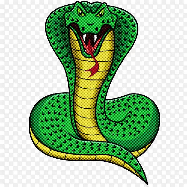 绿色 眼镜王蛇 蛇