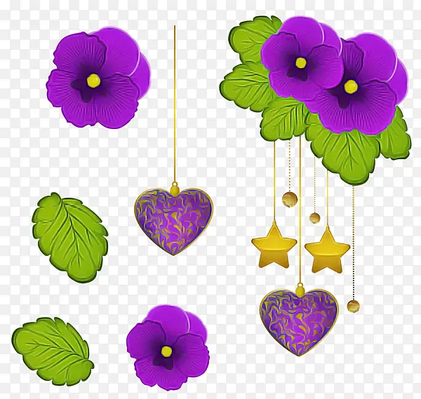 紫色 紫罗兰 花