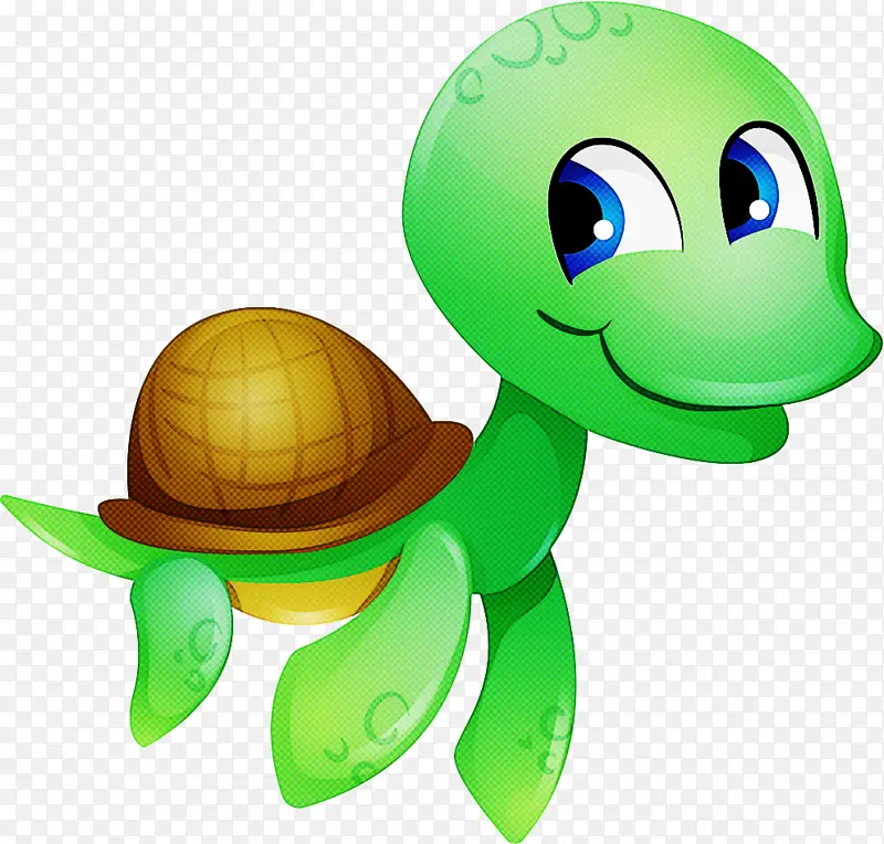 海龟 乌龟 绿色