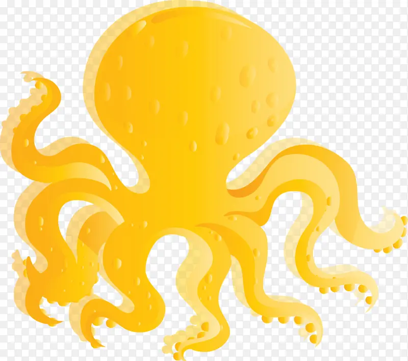章鱼 黄色 巨大的太平洋章鱼