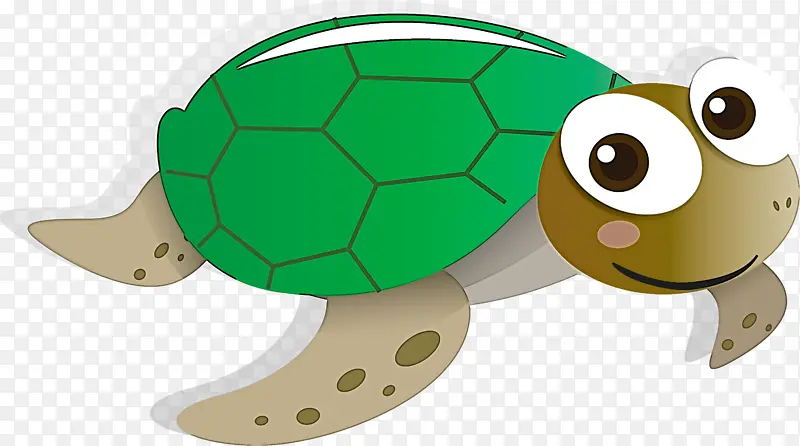 海龟 乌龟 绿色