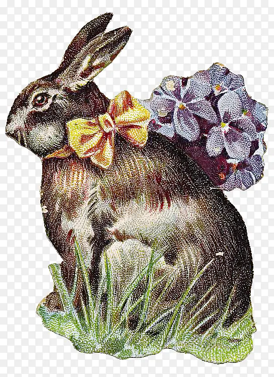 兔子 兔子和野兔 植物