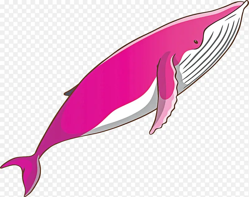 水彩鲸鱼 粉色 宽吻海豚