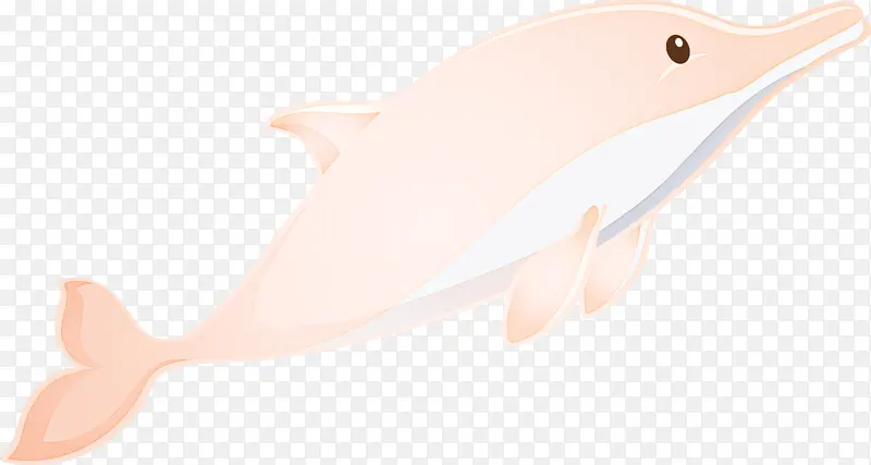 水彩海豚 粉色 鲸目动物