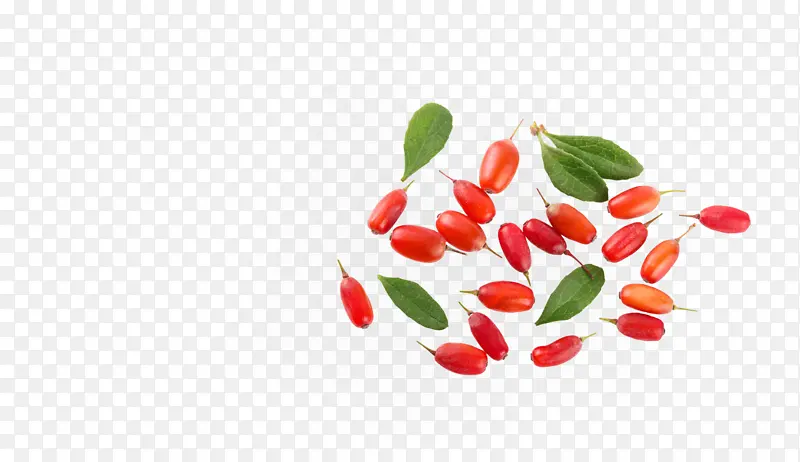 塔巴斯科胡椒 红色 植物