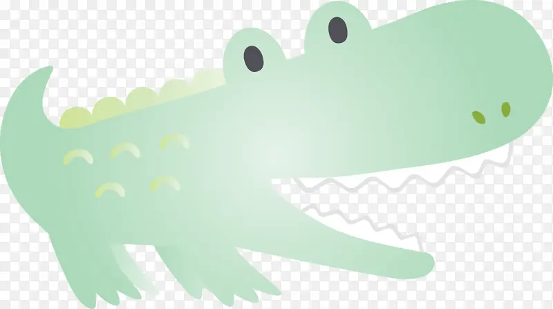 绿色 鳄鱼 短吻鳄