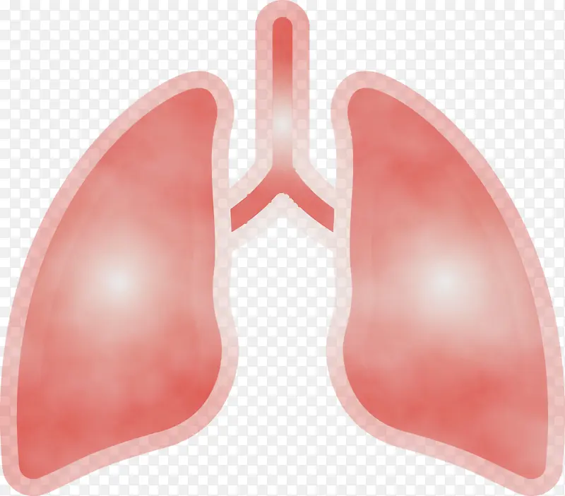 肺 医学 医疗保健