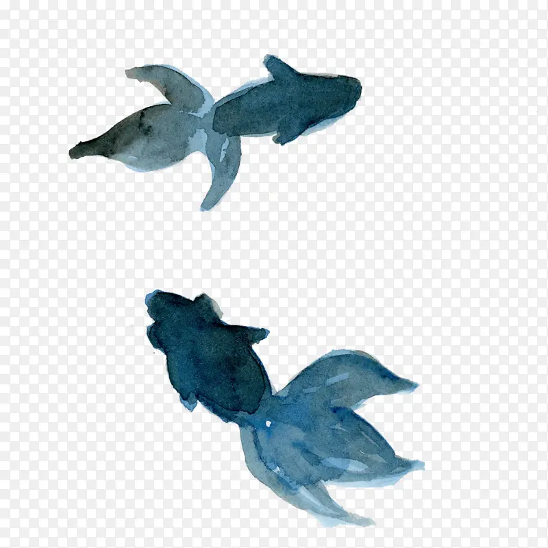 水彩鱼 绿松石 海豚