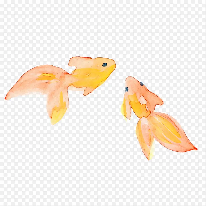 水彩鱼 水彩 油漆
