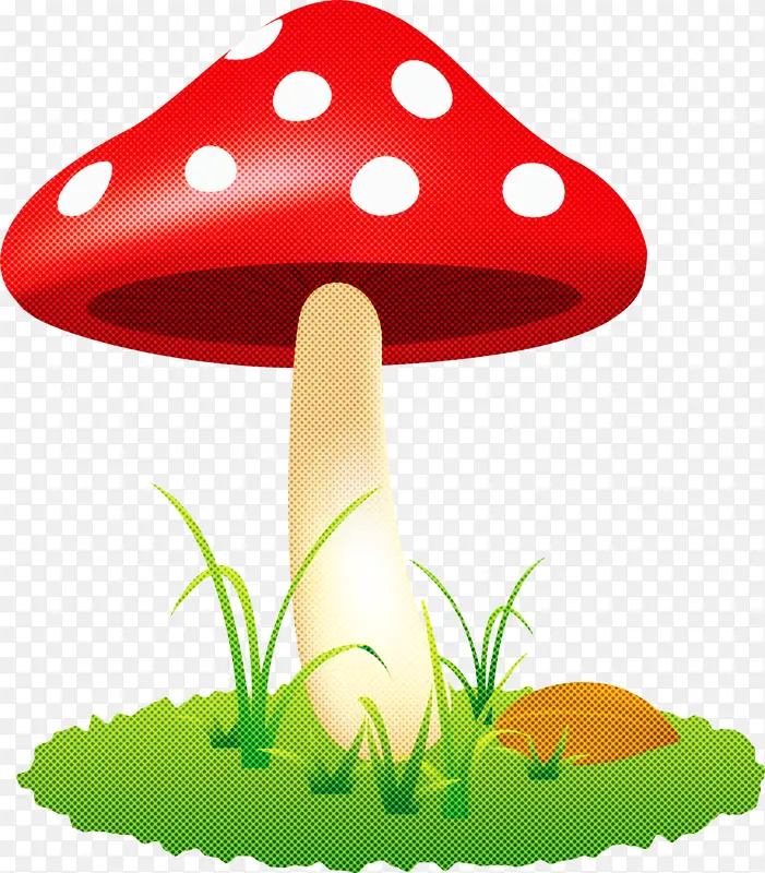 蘑菇 木耳 真菌