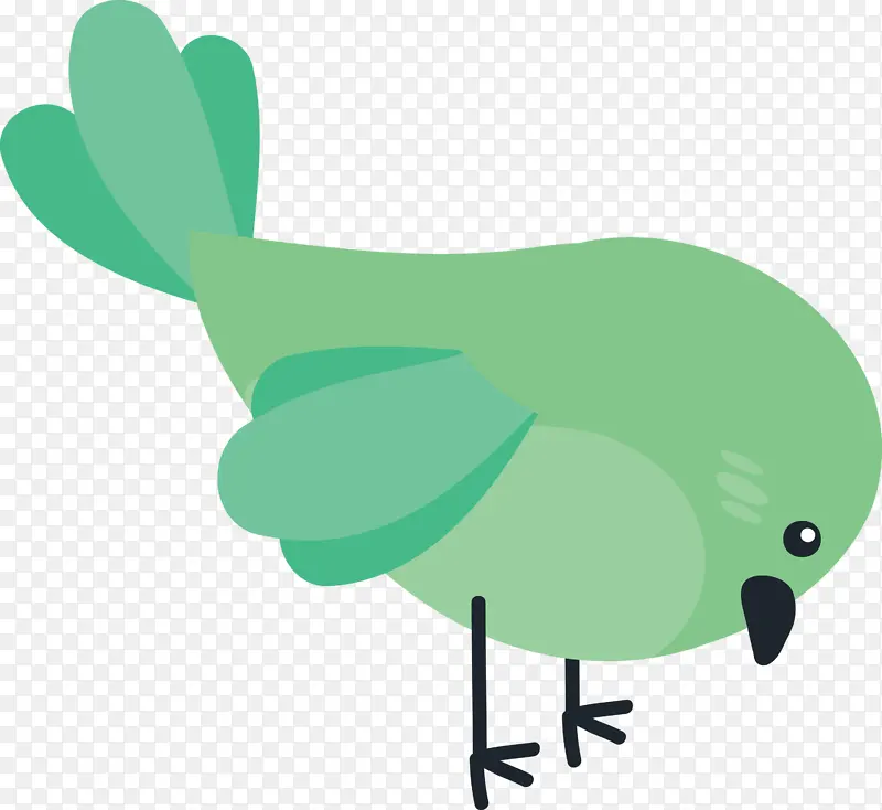 鸟 可爱的鸟 卡通鸟