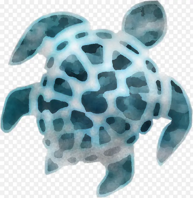 海龟 海 乌龟