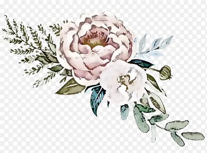 卷心菜玫瑰 花卉设计 花束