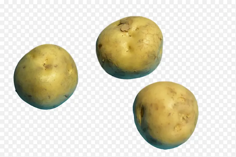 育空黄金土豆 块茎 水果