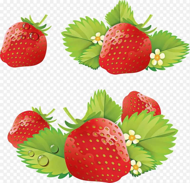 草莓 素描 水果