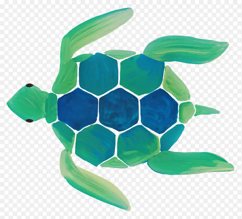 海龟 红海龟 海
