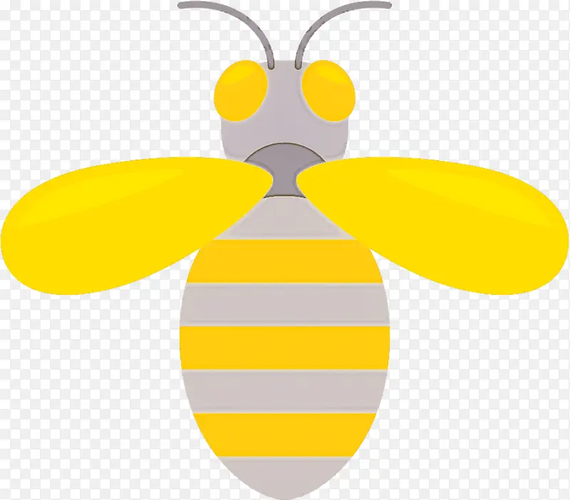蜜蜂 蝴蝶 黄色