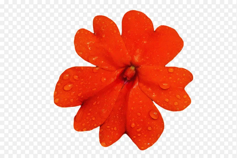 花瓣 橙色 标志