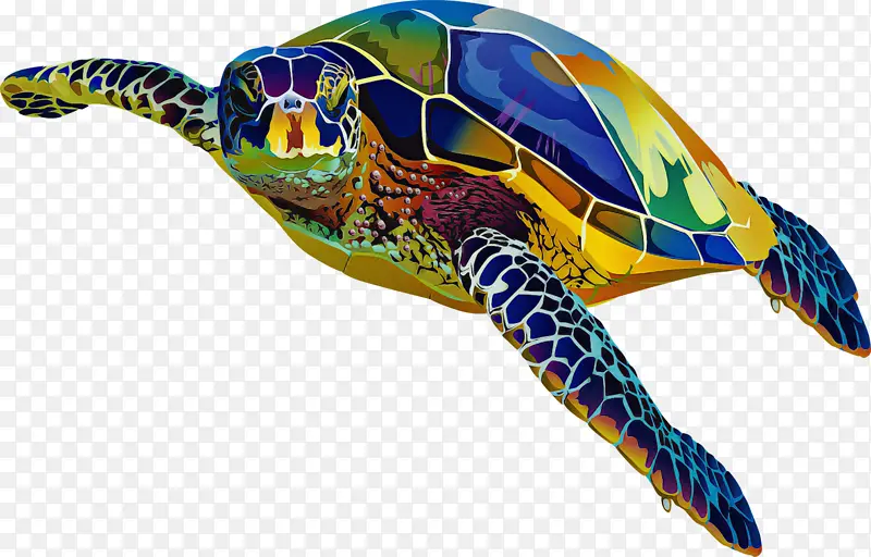 红海龟 海龟 爬行动物