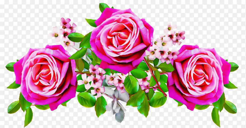 静物粉红玫瑰 玫瑰 花朵