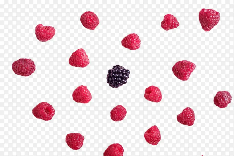 浆果 草莓 蔓越莓