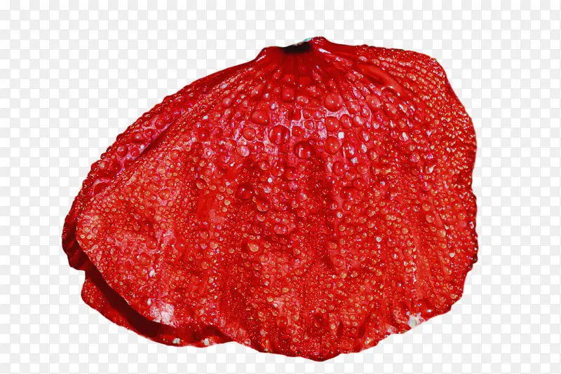 红肉 草莓