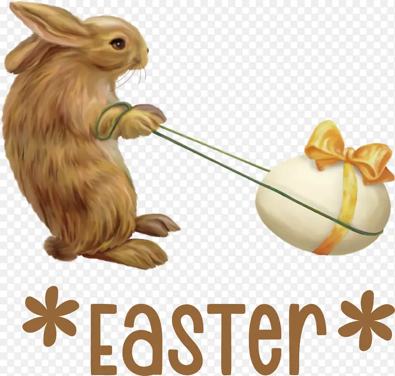 复活节彩蛋 复活节快乐 复活节兔子