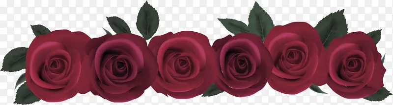 花园玫瑰 玫瑰 花卉设计