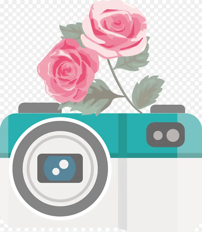 相机 花朵 花园玫瑰