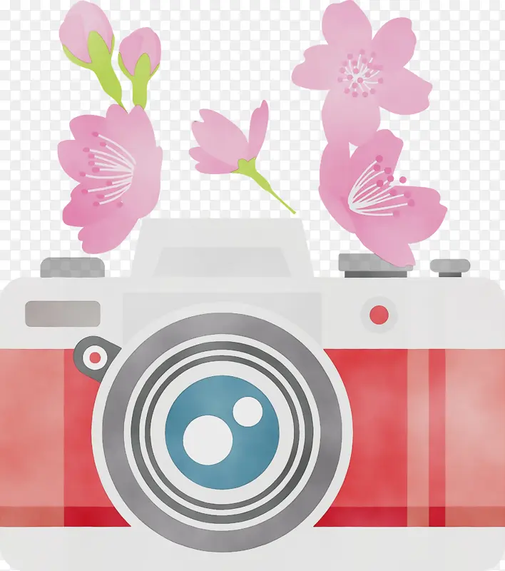 相机 花朵 水彩