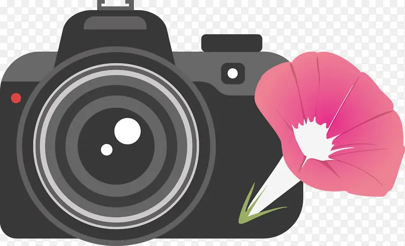 相机 花朵 相机镜头