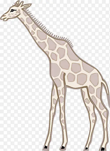 长颈鹿 米 动物雕像