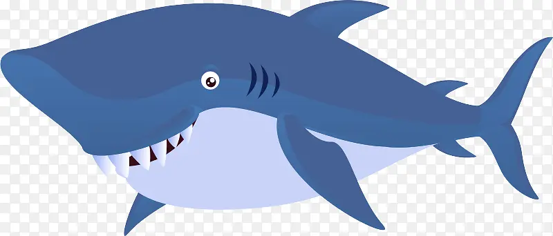 鲨鱼 动画 软骨鱼
