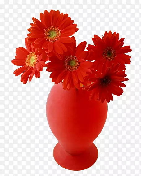 红花瓶里的红花