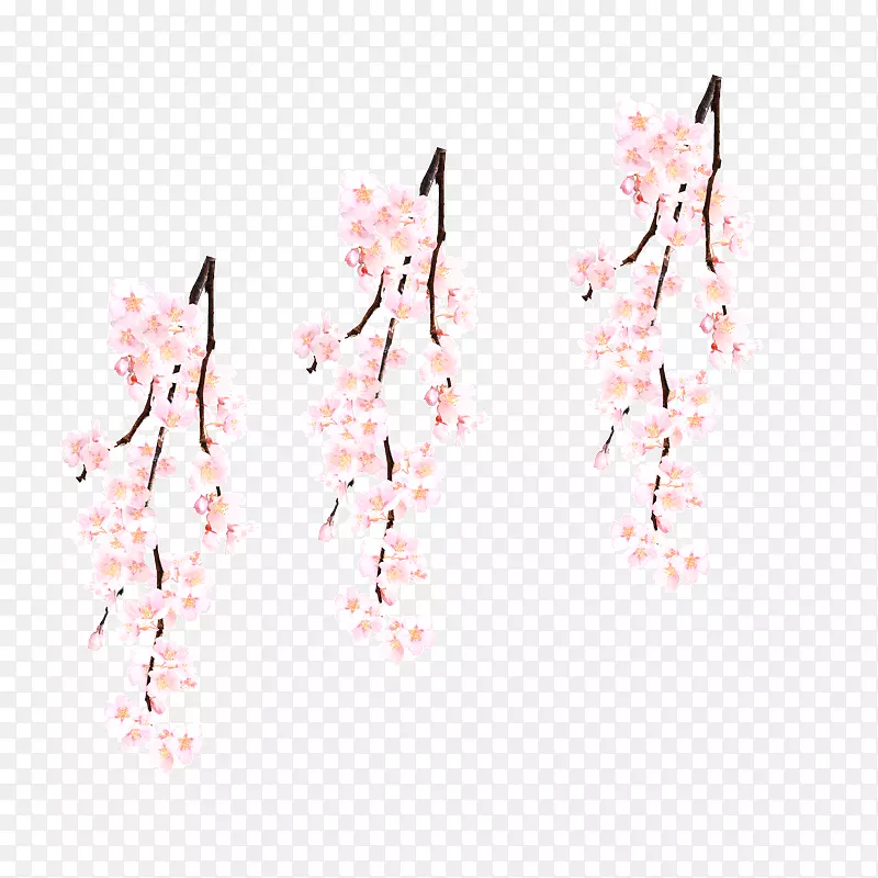 樱花树枝装饰矢量素材