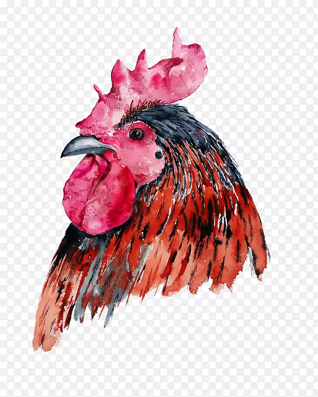 红色的公鸡头图案