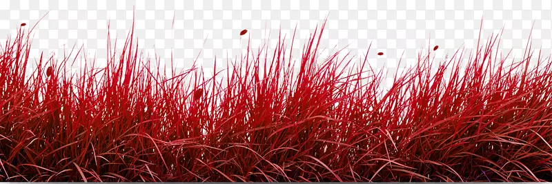 深红色草丛素材
