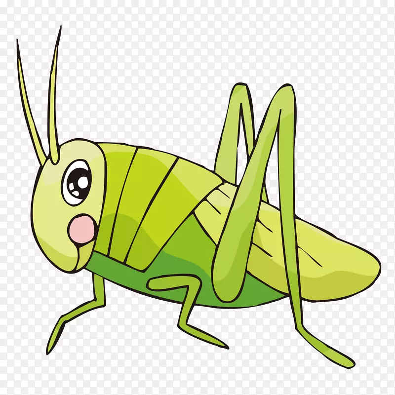 一只绿色小蟋蟀