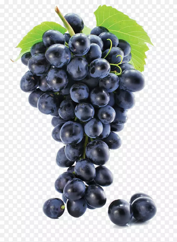 新鲜的紫色葡萄