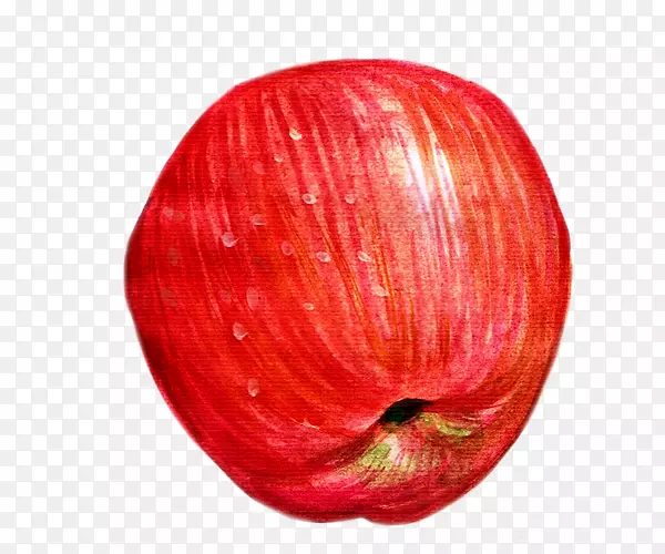 水彩手绘红色的苹果
