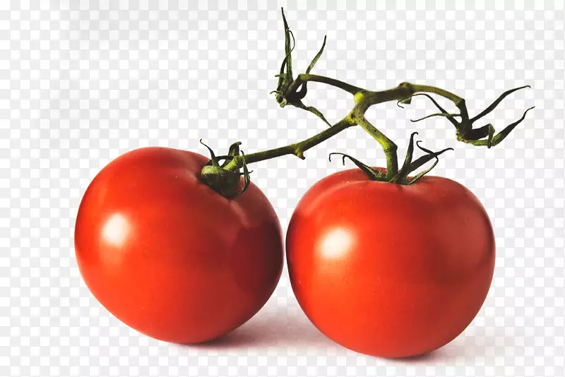 西红柿-鲜红的番茄
