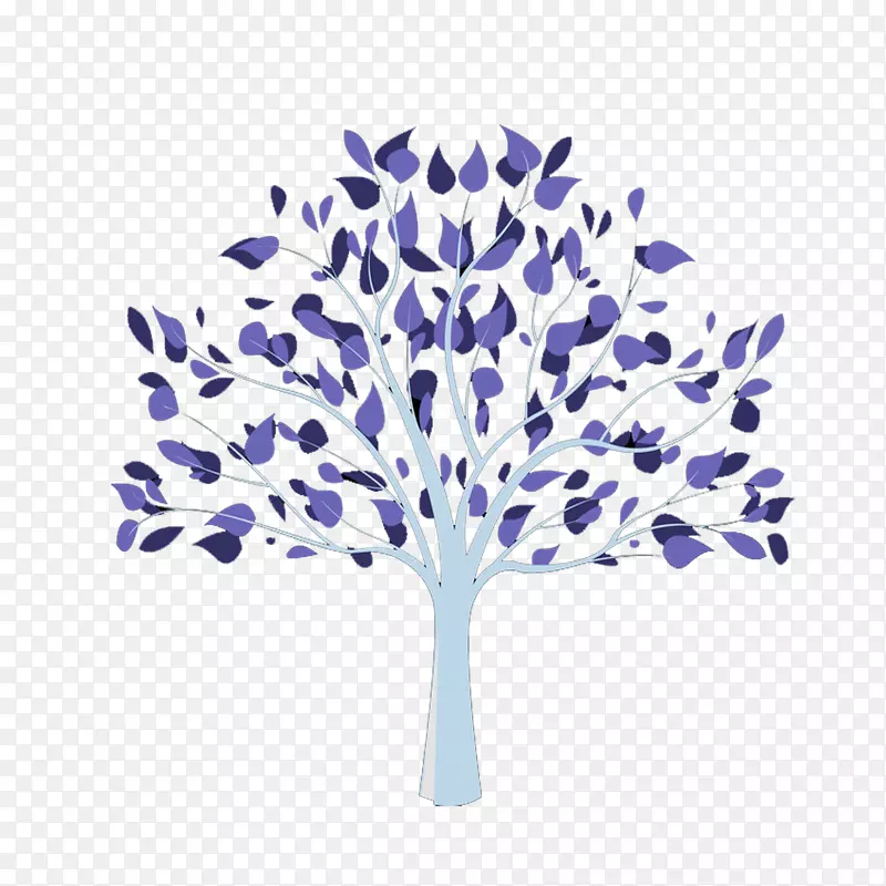 紫色蓝色树苗植物