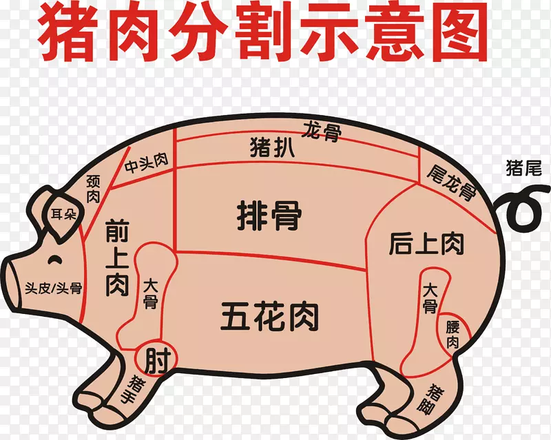 手绘猪肉分割标注图透明png