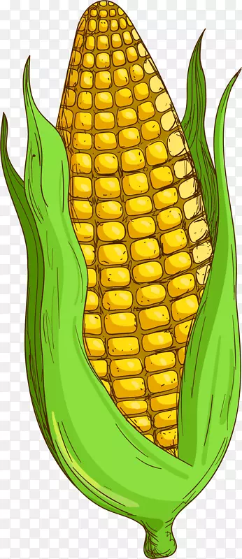 卡通手绘黄色的玉米